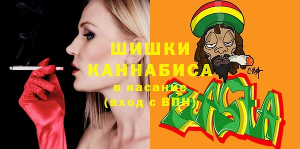 соль ск Елабуга