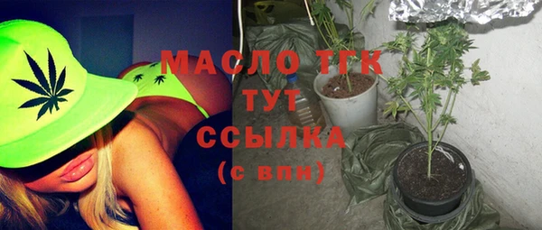 соль ск Елабуга