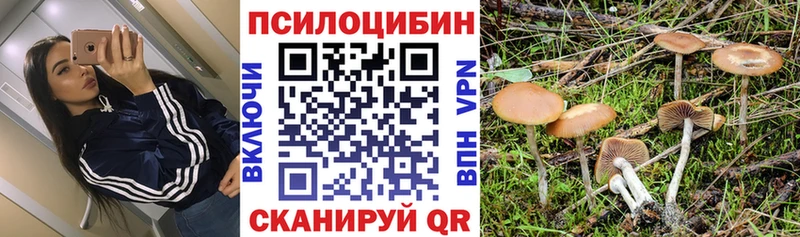 Галлюциногенные грибы Psilocybine cubensis  Купить где  Новоульяновск 